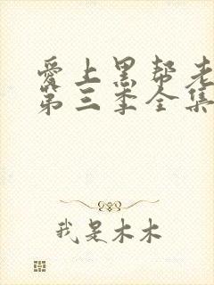 爱上黑帮老大的第三季全集免费观看封面