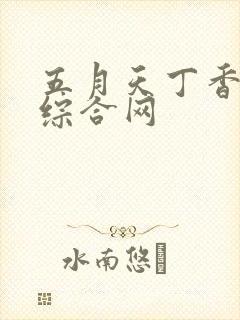 五月天丁香婷婷综合网