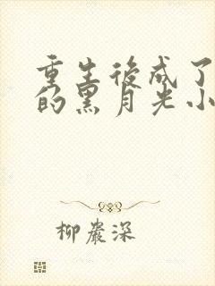 重生后成了权臣的黑月光小说封面