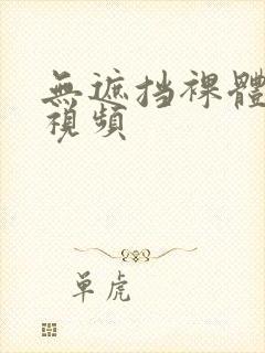 无遮挡裸体免费视频