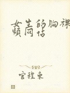 女生的胸裸体视频网站