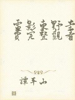 电影东野圭吾免费完整观看封面