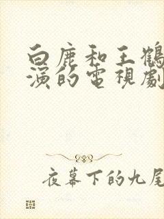 白鹿和王鹤隶主演的电视剧