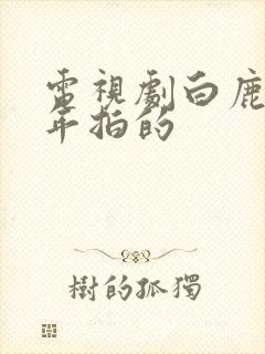 电视剧白鹿原哪年拍的