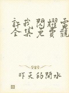 许我闪耀电视剧全集免费观看高清