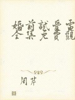 婚前试爱电视剧全集免费观看高清