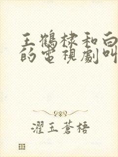 王鹤棣和白鹿演的电视剧叫什么