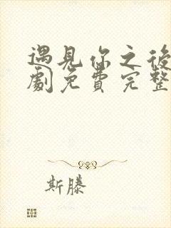 遇见你之后电视剧免费完整观看高清