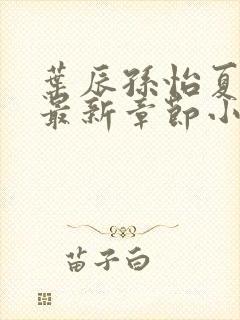 叶辰孙怡夏若雪最新章节小说心