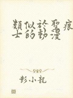 类似于圣痕炼金士的动漫