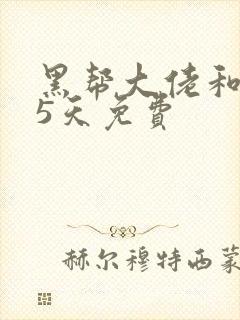 黑帮大佬和365天免费