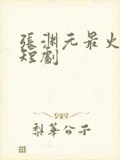 张渊元最火十部短剧