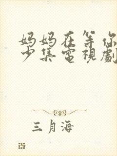 妈妈在等你有多少集电视剧