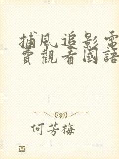 捕风追影电影免费观看国语版