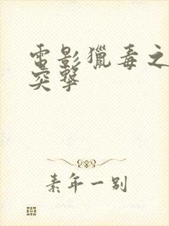 电影猎毒之闪电突击封面