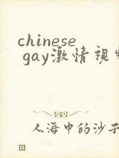 chinese gay激情视频