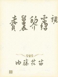 老舅的电视剧演员表介绍