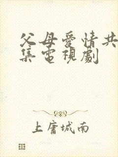 父母爱情共多少集电视剧