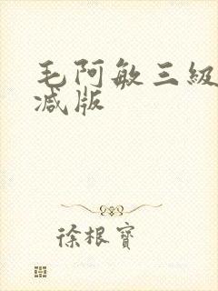 毛阿敏三级未删减版