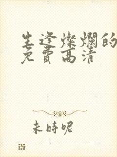 生逢灿烂的日子免费高清