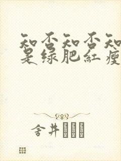 知否知否知否应是绿肥红瘦在哪个平台