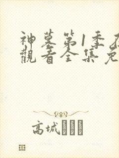 神墓第1季在线观看全集免费高清