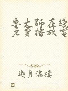 鲁大师在线观看免费播放电视剧安全