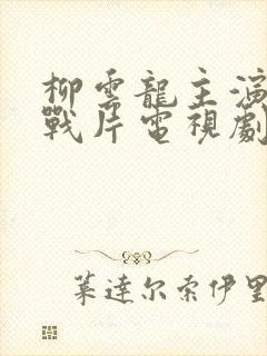 柳云龙主演的谍战片电视剧大全集暗算