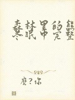 森林里的熊先生冬眠中完整版樱花动漫