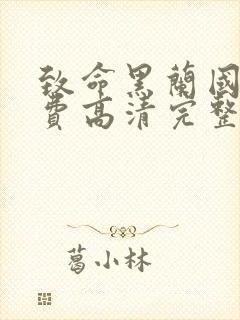 致命黑兰国语免费高清完整版在线观看