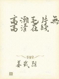 高潮毛片无遮挡高清在线
