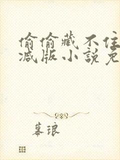 偷偷藏不住无删减版小说免费