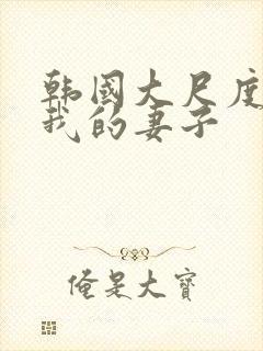 韩国大尺度电影我的妻子封面