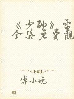 《少帅》电视剧全集免费观看