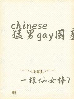 chinese猛男gay国产video网站封面