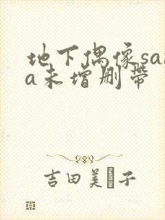 地下偶像sana未增删带封面