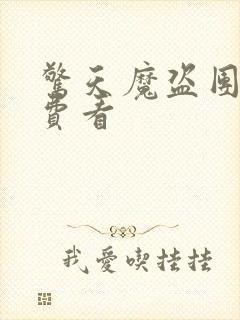 惊天魔盗团2免费看