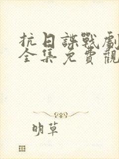 抗日谍战剧大全全集免费观看