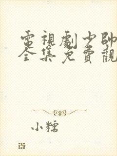 电视剧少帅48全集免费观看在线云封面