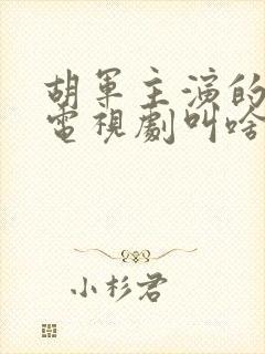 胡军主演的明朝电视剧叫啥名封面