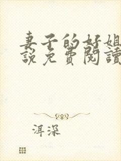 妻子的好姐妹小说免费阅读