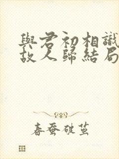 与君初相识犹如故人归结局