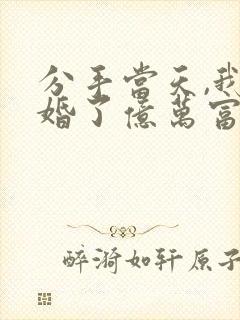 分手当天,我闪婚了亿万富豪小说阅读全文