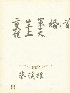 重生军婚,首长宠上天