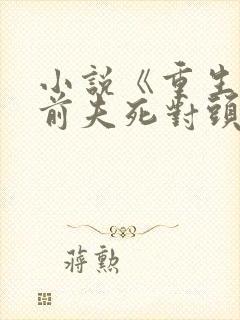 小说《重生嫁给前夫死对头》