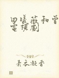 田曦薇和曾舜的电视剧