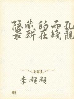 隐藏的面孔韩国最新在线观看封面