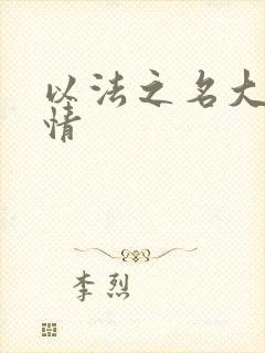 以法之名大概剧情