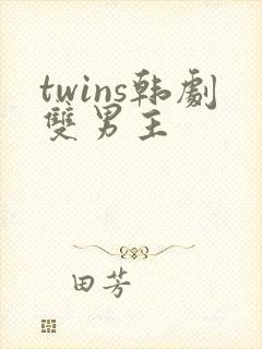 twins韩剧双男主