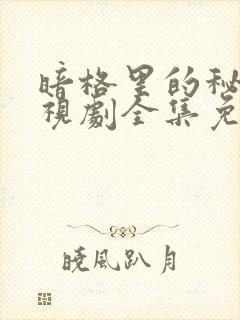 暗格里的秘密电视剧全集免费看封面